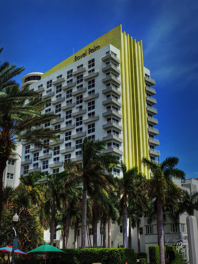 Miami - The James Royal Palm Photograph by Lance Vaughn