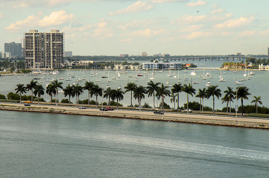 Miami View Photograph by Rosalie Scanlon