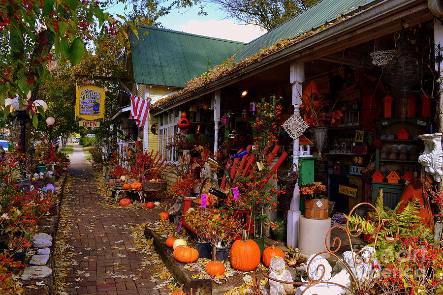 Michaels Flower Shop in Fall Photograph by Amy Lucid