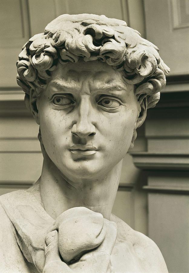 Michelangelo 1475-1564. David Photograph by Everett - Fine Art America