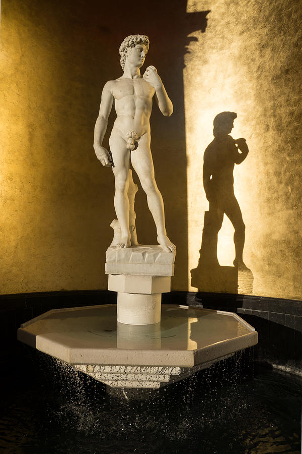 Michelangelos David and his Shadow Photograph by Georgia Mizuleva