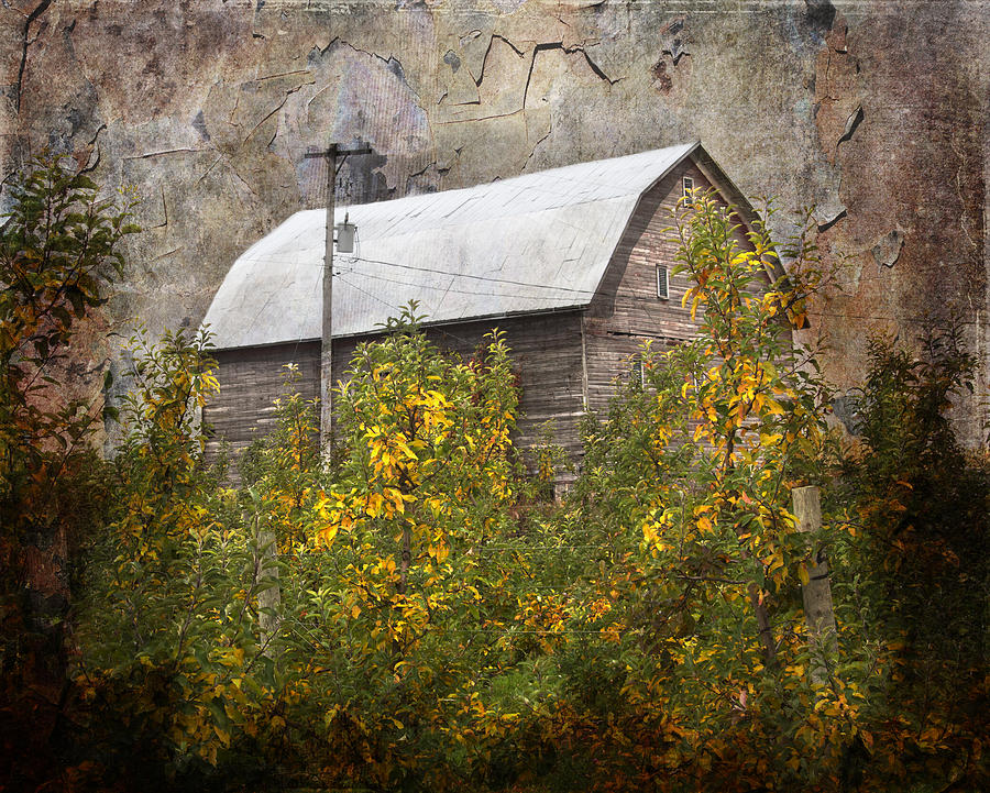Michigan Barn in November Photograph by Evie Carrier