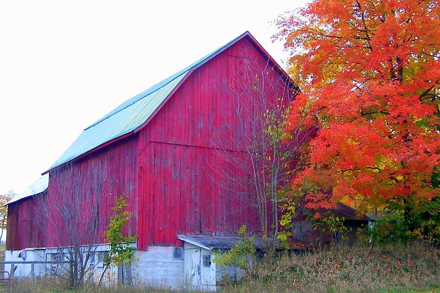 Michigan Barn Photograph by Kathleen Luther