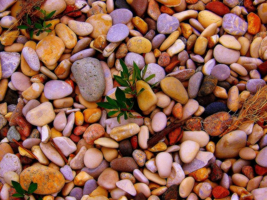 Michigan Beach stones Photograph by Marysue Ryan