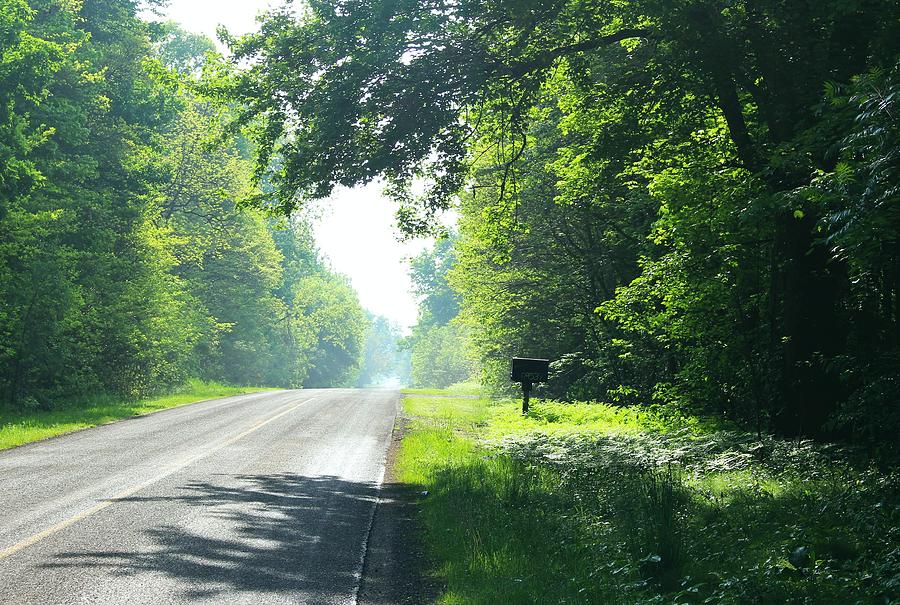 Michigan Country Roads 26 Photograph by Sylvia Herrington