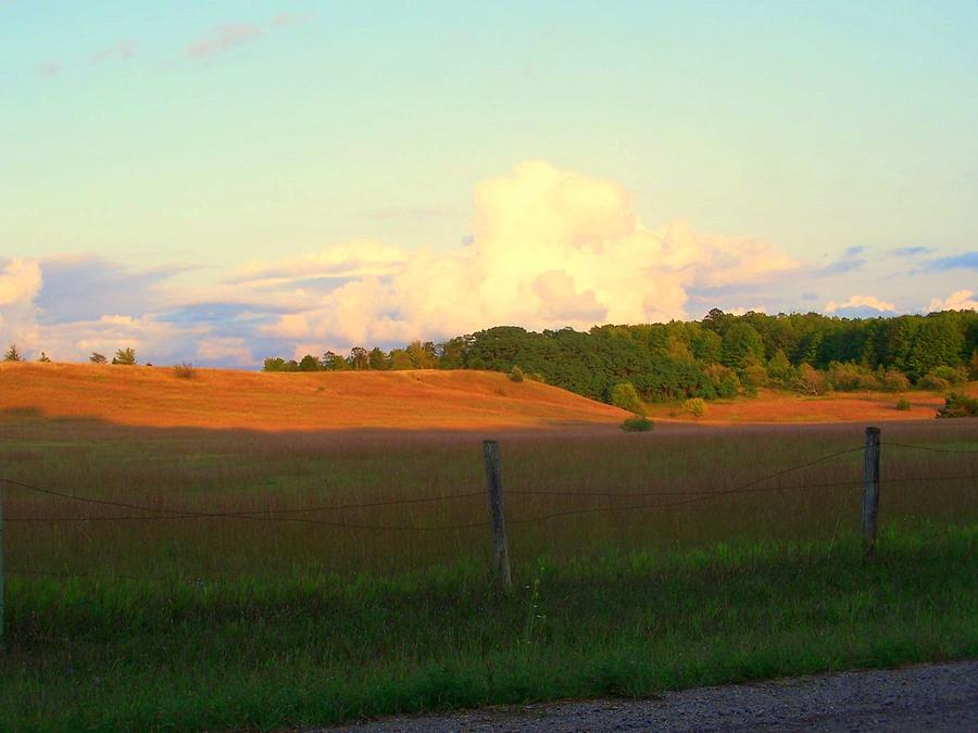Michigan Country Roadside Photograph by Kathleen Luther