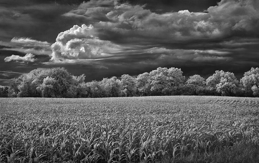 Michigan Countryside Photograph by Steve White