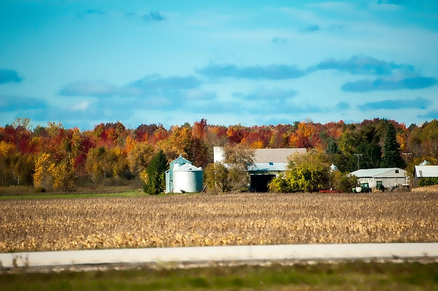 Michigan Fall Photograph