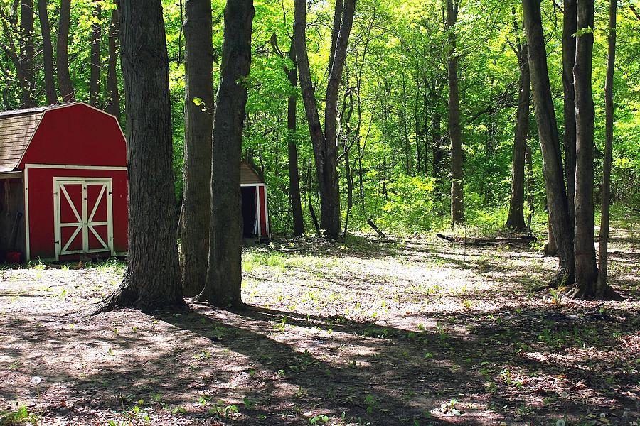 Nature Photograph - Michigan Farm in the Forest by Sylvia Herrington