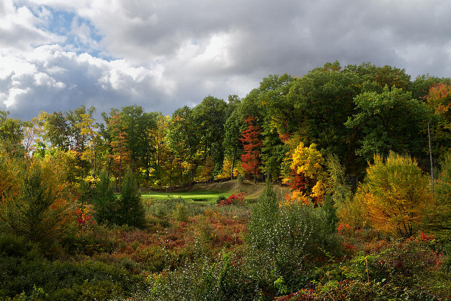 Michigan golf 3 Photograph by Gary  Drinkhorn