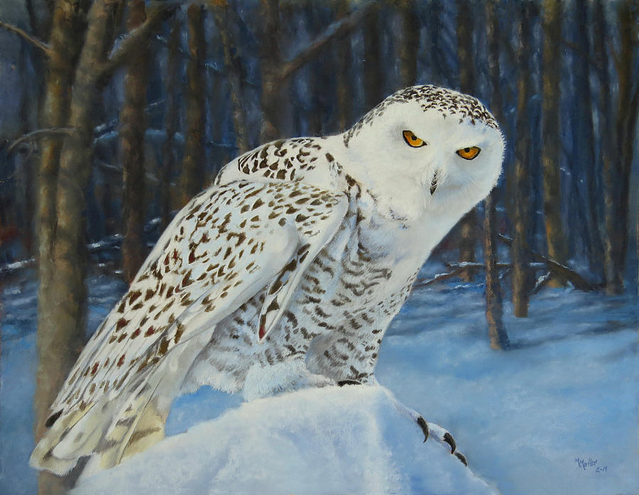 Owl Pastel - Michigan Snowy by Marcus Moller