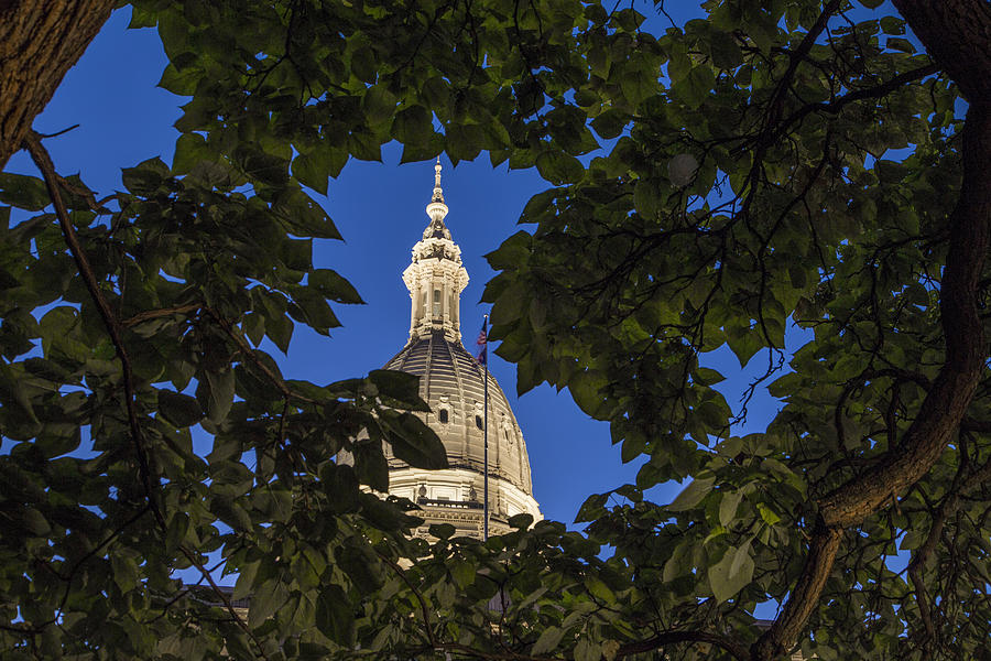 Michigan State Capitol and Tree Photograph by John McGraw
