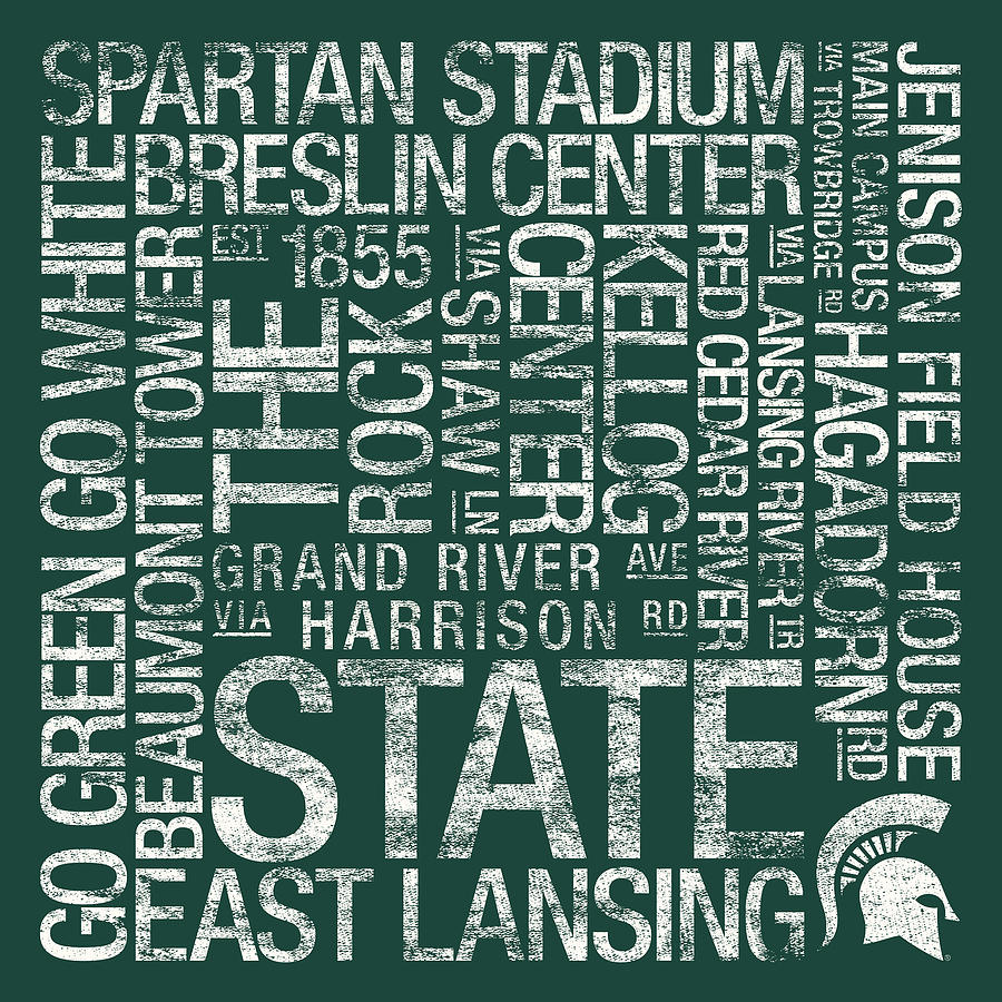 Michigan State College Colors Subway Art Photograph - Michigan State ...