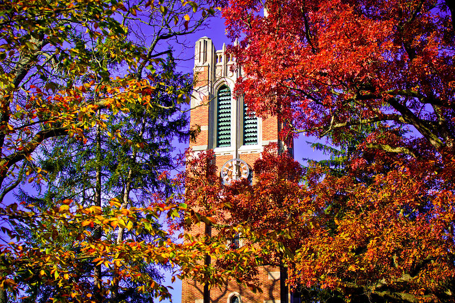 Michigan State University Photograph - Michigan State University Beaumont Tower by John McGraw