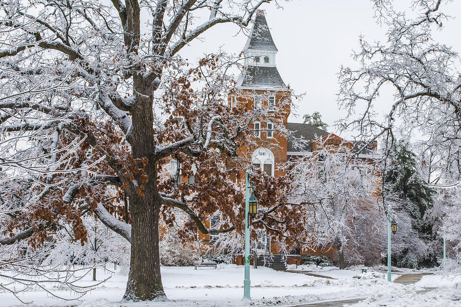 Michigan State University during Ice Storm  Photograph by John McGraw