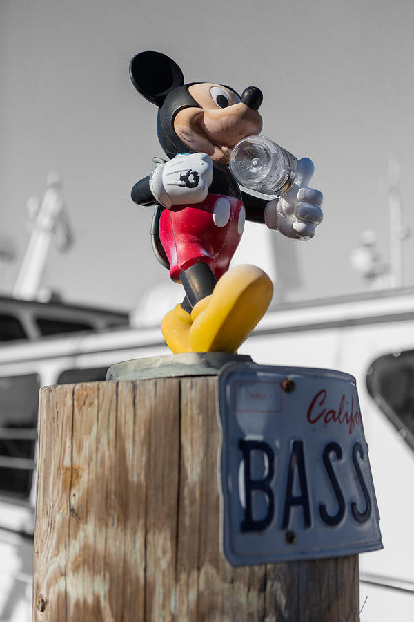 Mickey on a post Photograph by Scott Campbell