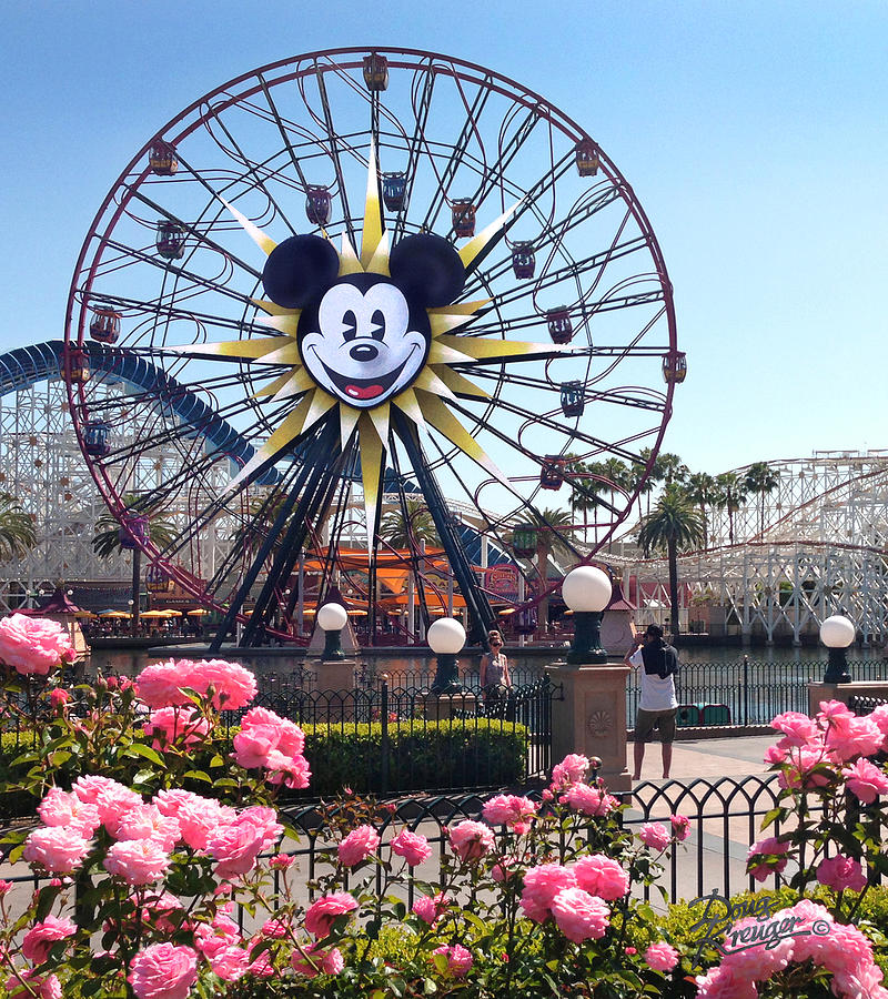 Mickey's Fun Wheel Photograph - Mickeys Fun Wheel by Doug Kreuger