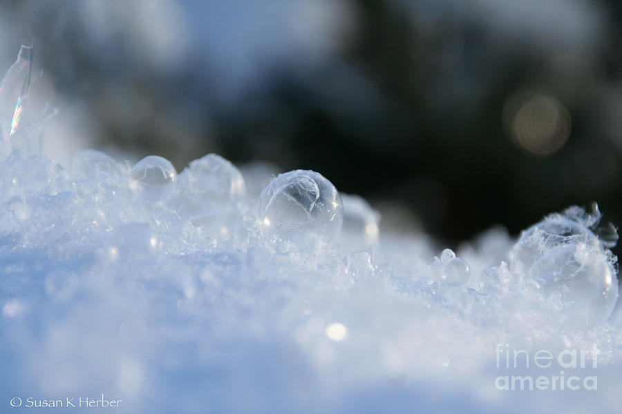 Micro Ice Photograph by Susan Herber