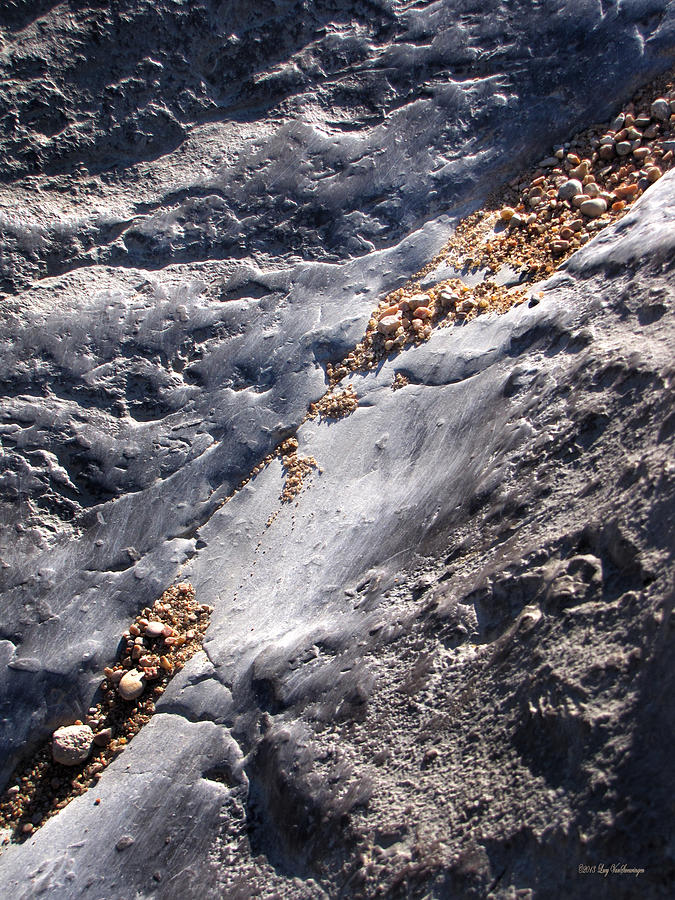 Micro Rock Slide Photograph by Lucy VanSwearingen