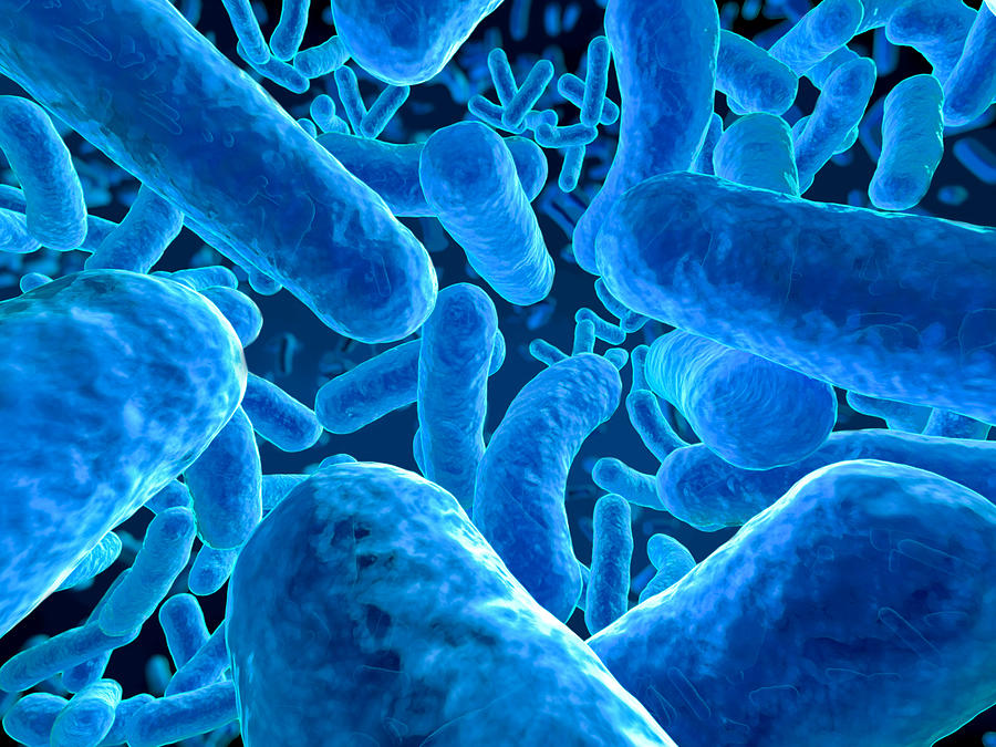 Microbes closeup Photograph by Spanteldotru