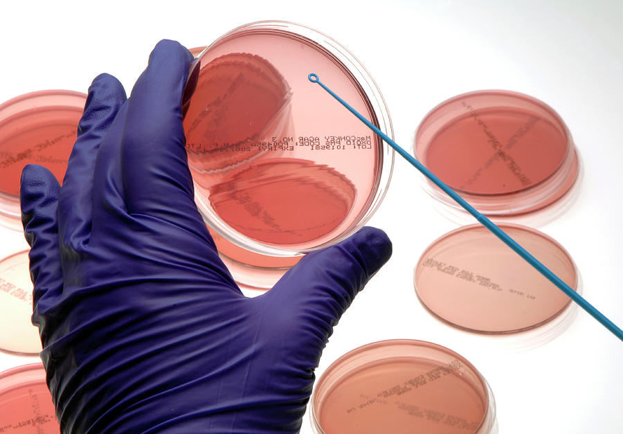 Microbiology Research Photograph by Public Health England