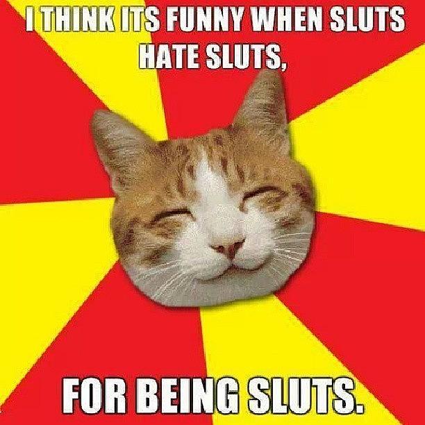 Cat Photograph - @micromachinedee Self Hating #sluts by Paige Byington