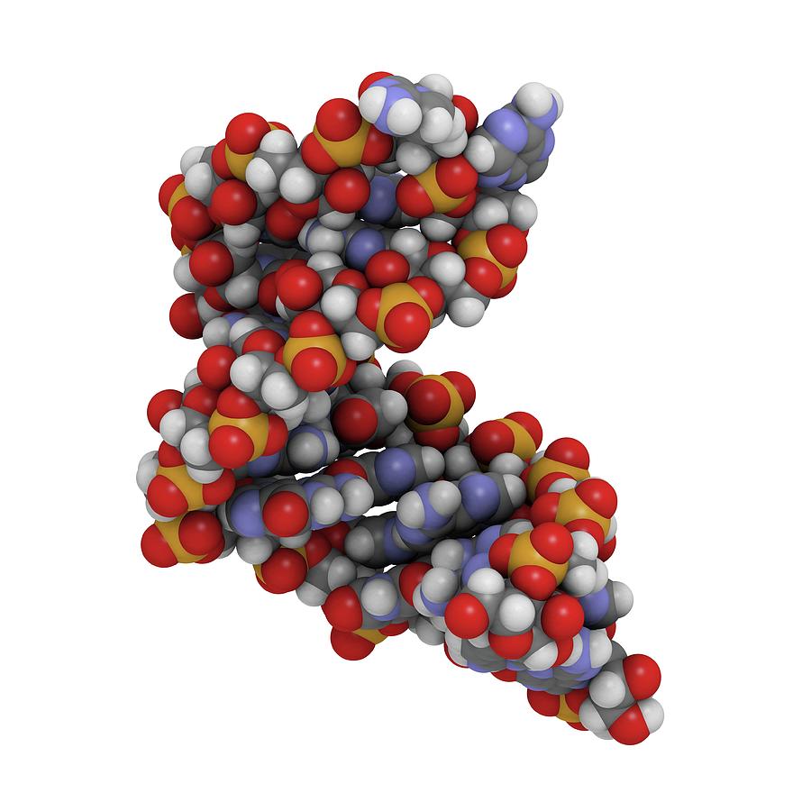 Microrna Molecule Digital Art by Molekuul Microrna Molecule Digital Art by Molekuul
