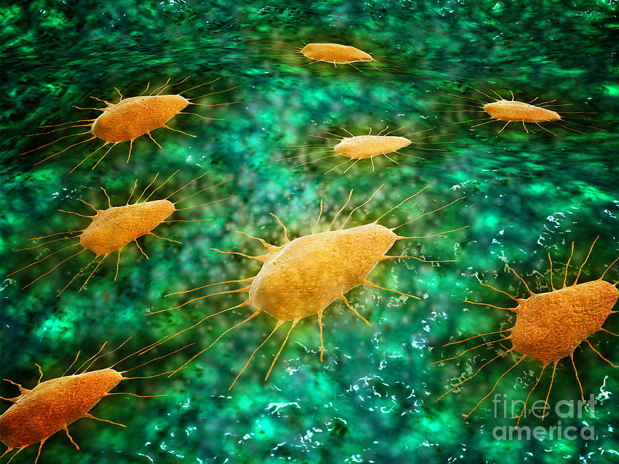 Microscopic View Of A Group Digital Art by Stocktrek Images