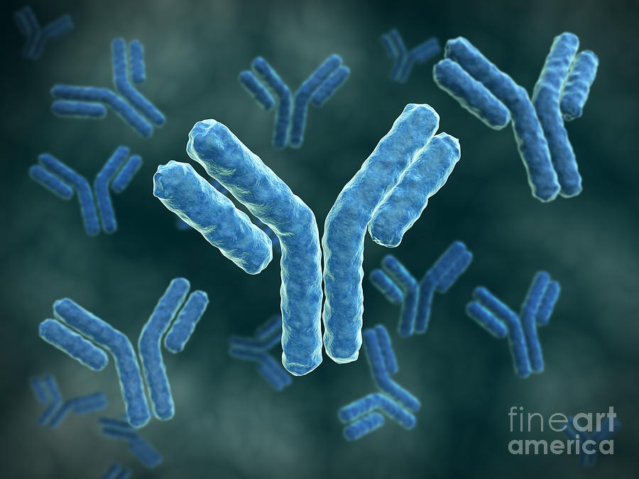 Horizontal Digital Art - Microscopic View of immunoglobulin G antibodies. by Stocktrek Images