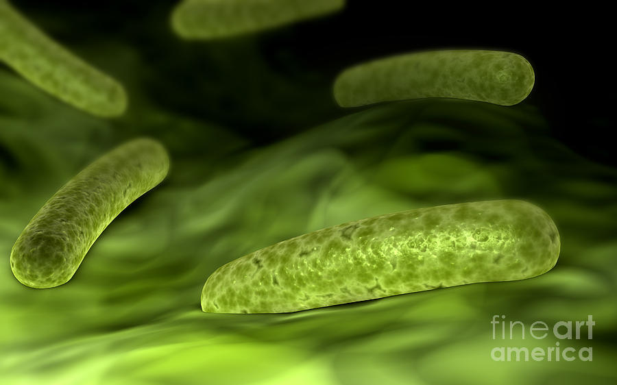 Microscopic View Of Bacteria Digital Art