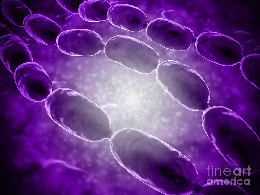 Microscopic View Of Bacterial Pneumonia Digital Art by Stocktrek Images