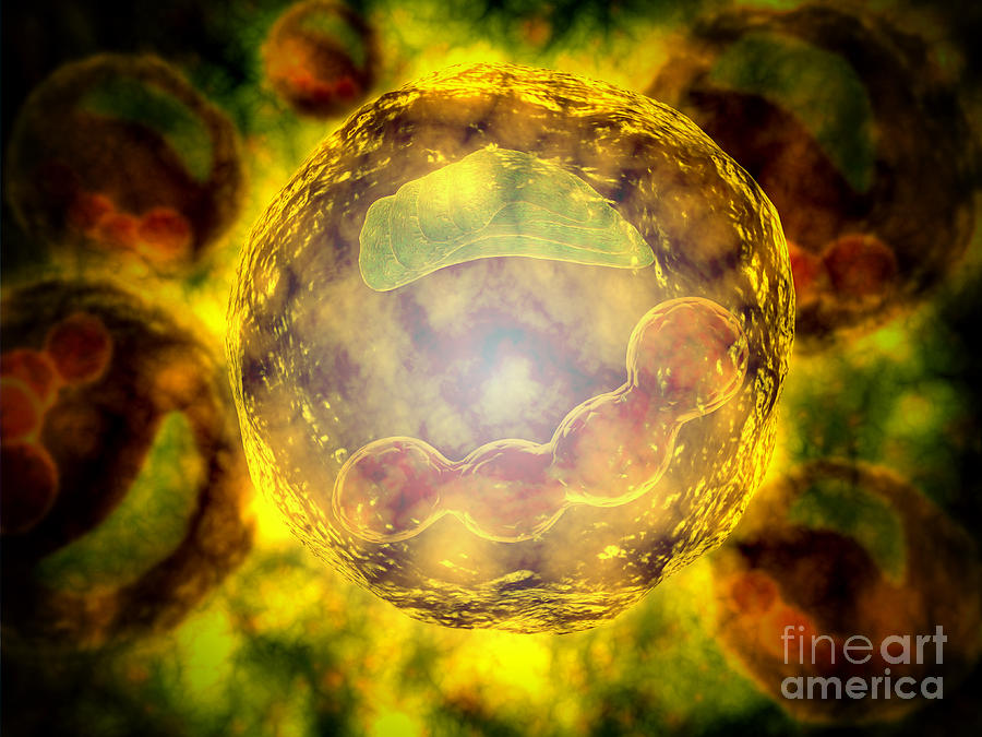 Color Image Digital Art - Microscopic View Of Human Cell by Stocktrek Images
