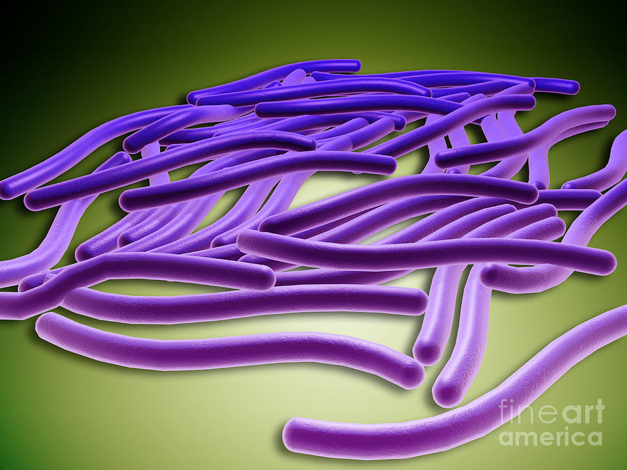 Microscopic View Of Legionella Photograph by Stocktrek Images