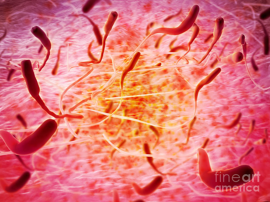 Microscopic View Of Sperm Digital Art by Stocktrek Images