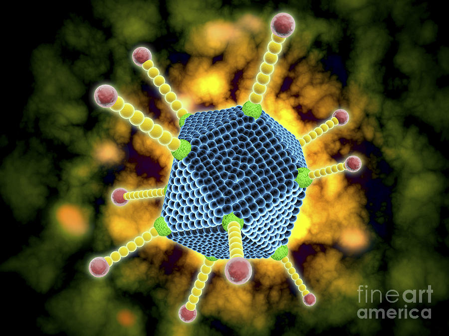Microscopic View Of The Common Cold Digital Art by Stocktrek Images