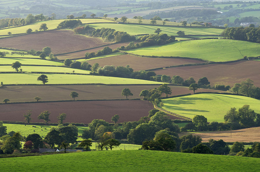 Mid Devon fields Photograph by Pete Hemington