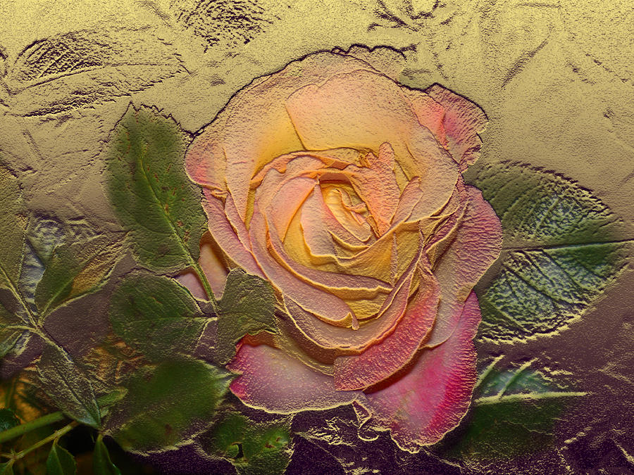 Midas Rose Digital Art by Steve Karol