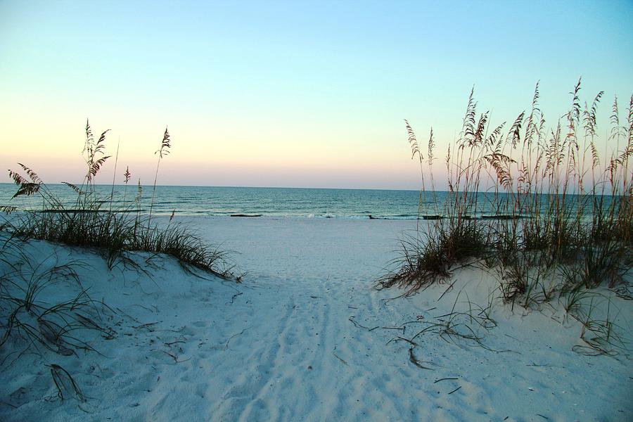 Middle Beach Gate Photograph By Steve Jones Fine Art America