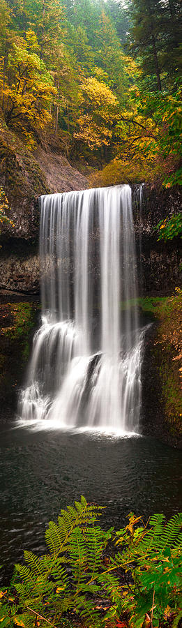 Middle Falls  Photograph by David  Forster