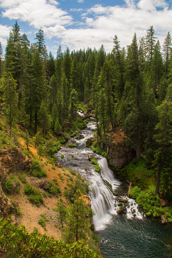 Middle Falls McCloud River -3 Photograph by Randy Wood