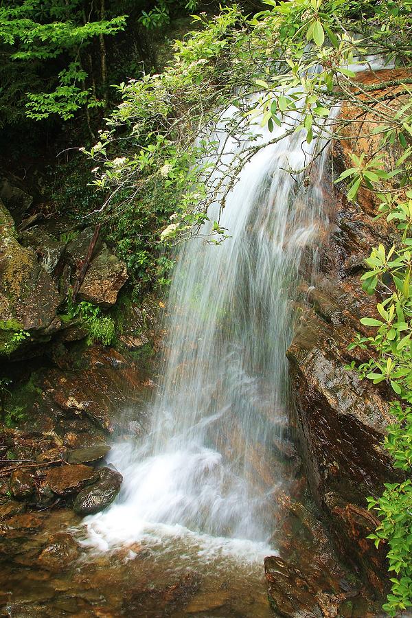 Middle Prong Wilderness Waterfall - Blue Ridge Parkway Photograph