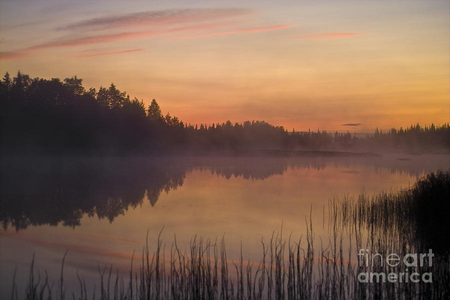 Midnight at Lake in Finland Photograph by Heiko Koehrer-Wagner
