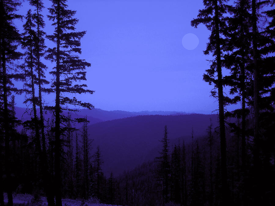 Midnight Blue Digital Art by Ann Powell