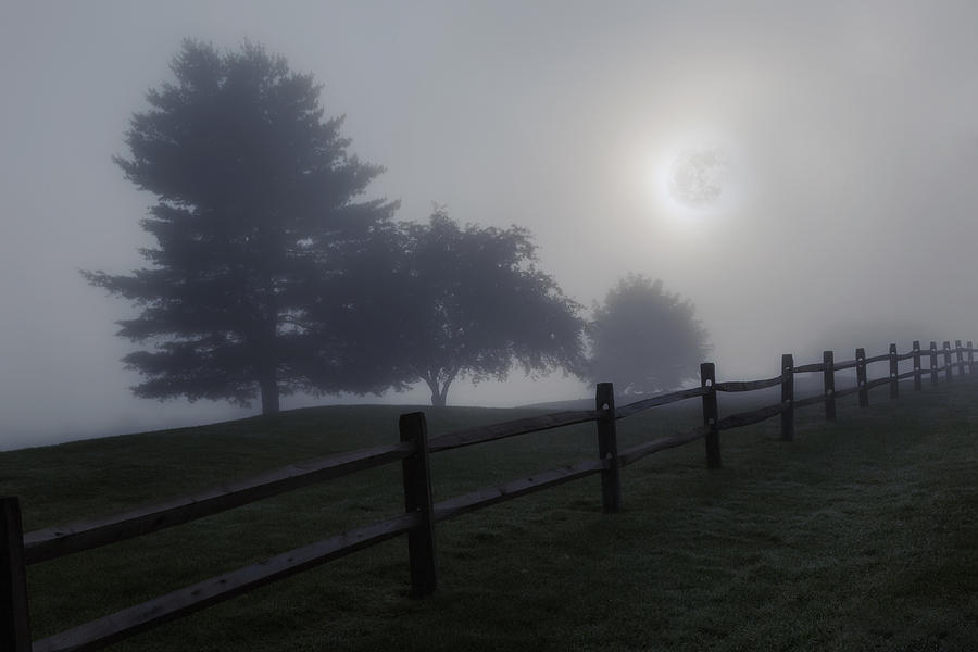 Tree Photograph - Midnight Fog by Bill Wakeley