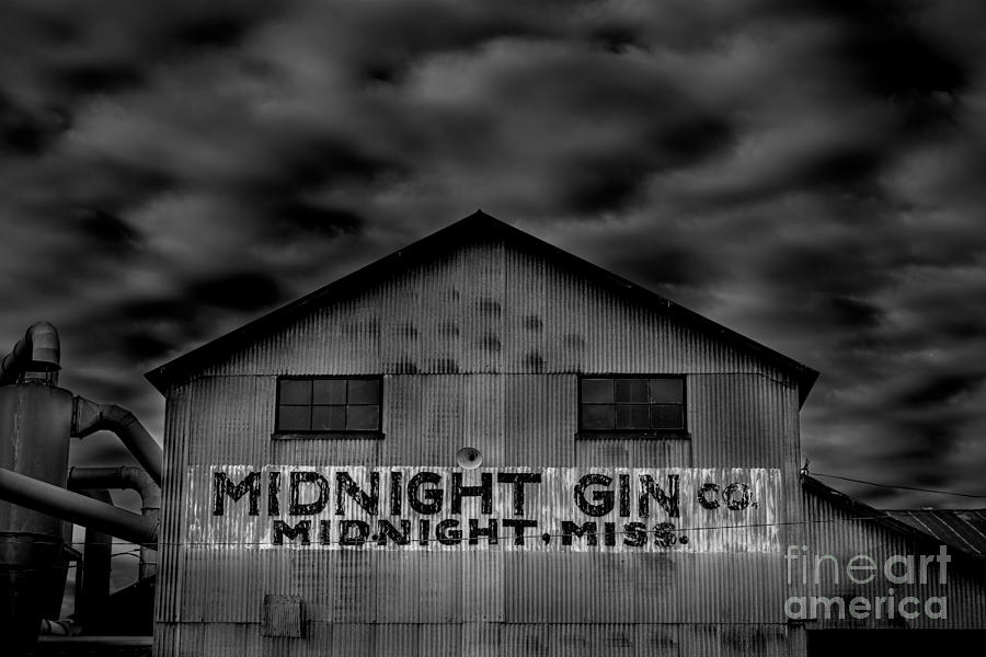 Music Photograph - Midnight Gin Company Midnight Mississippi by T Lowry Wilson