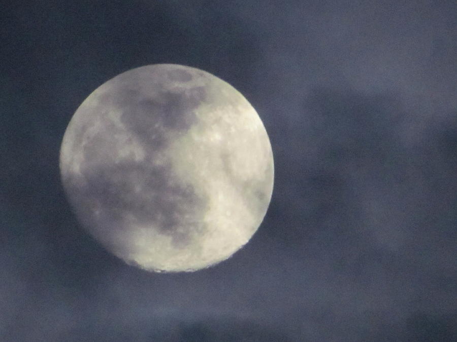 Midnight in Savannah Full Moon  Photograph by Shawn Hughes