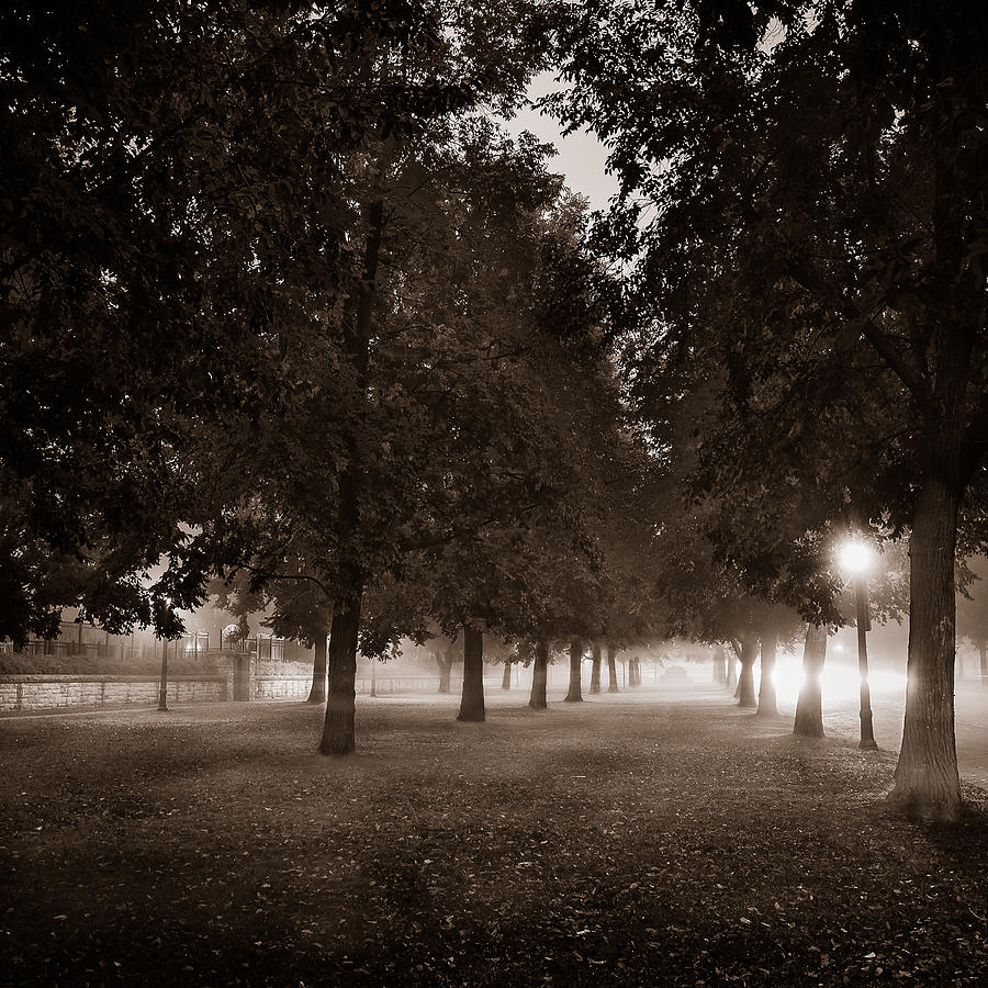 Tree Photograph - Midnight in the Garden of Good and Evil by Chris Bordeleau