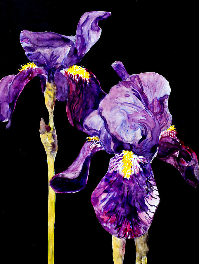 Midnight Iris Painting by Karen Ann