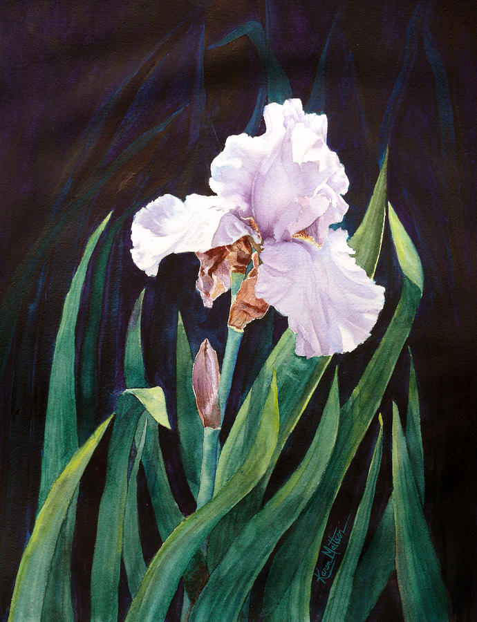 Midnight Iris Painting by Karen Mattson