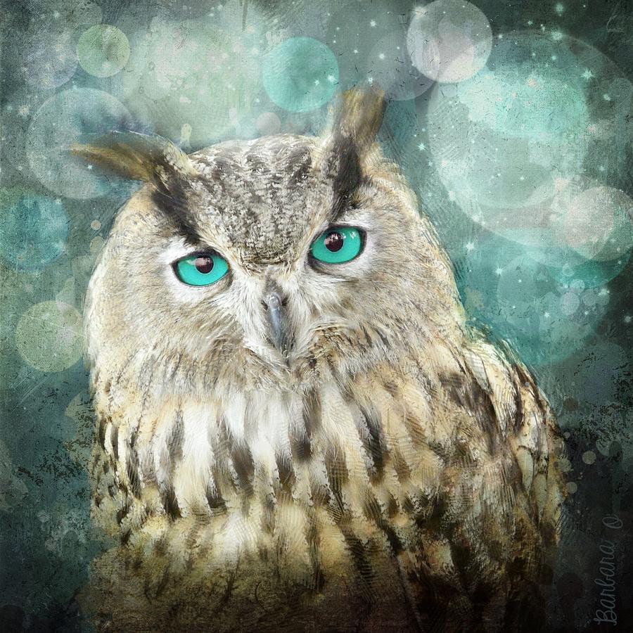 Midnight Owl Photograph by Barbara Orenya